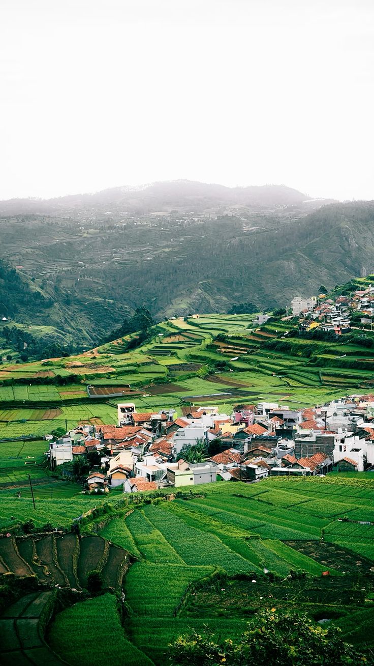 Kodaikanal tour package