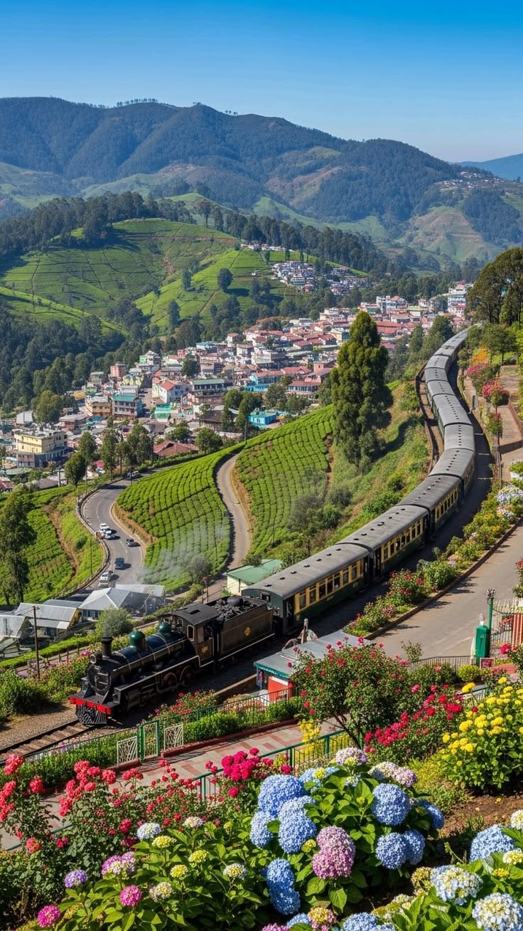 Ooty tour package